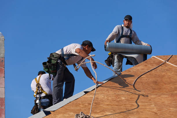 Best Residential Roofing Contractor  in Waterloo, WI
